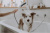 Душевая лейка Hansgrohe DogShower 26640700 для собак