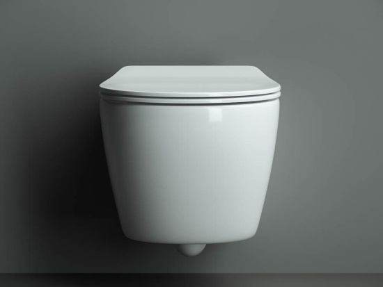 Подвесной унитаз Ceramicanova Pearl Rimless CN8001