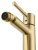 Смеситель для биде Wonzon & Woghand Tor WW-88016073-BG Смеситель для биде Wonzon & Woghand Tor WW-88016073-BG