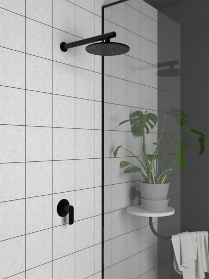 Смеситель для душа Paini Nove 09PZ690 с внутренней частью