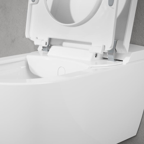 Унитаз подвесной Villeroy & Boch Viclean V0E100R1 альпийский белый, с функцией биде