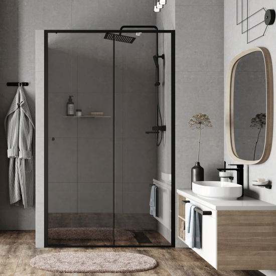 Душевая дверь в нишу Wasserkraft Dill 61S31