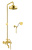 Душевая стойка Fiore Margot Sky (Swarovski®) 01OO0615 золото