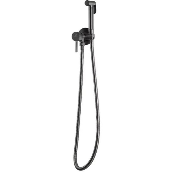 Гигиенический душ Filarete Roun FL100BG со смесителем, графит