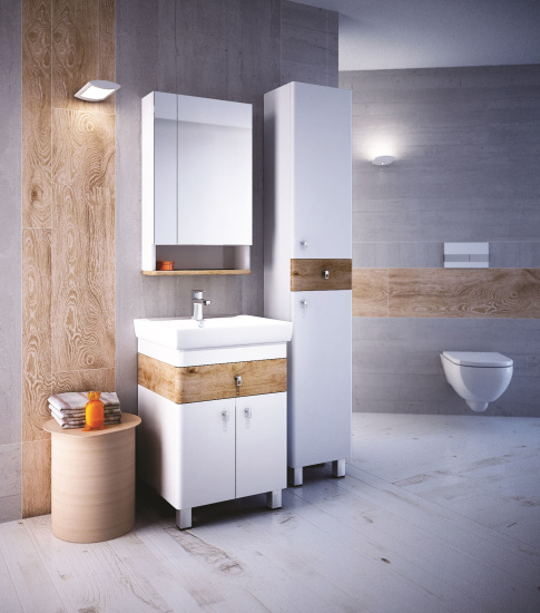 Зеркало-шкаф Iddis Carlow 55