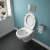 Унитаз подвесной Ideal Standard Eurovit K881201 безободковый