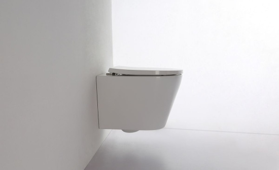 Подвесной унитаз WeltWasser Salzbach 043 GL-WT