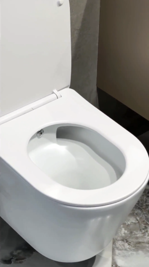 Унитаз подвесной Boheme Avva 973-SET-2-W с функцией биде и сидением микролифт