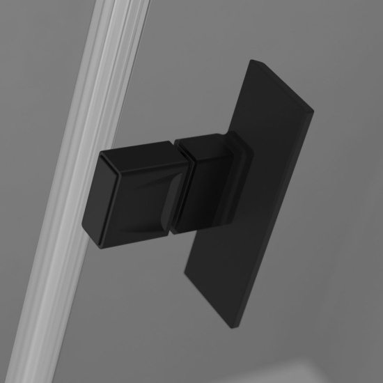 Душевой уголок Radaway Nes Black KDJ II 100x90 R