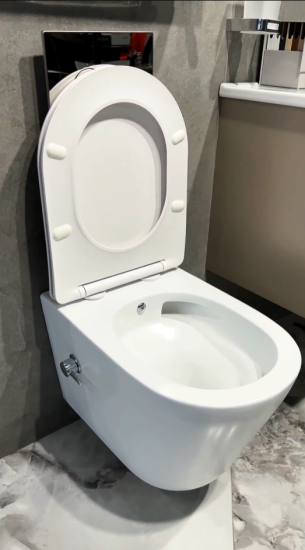 Унитаз подвесной Boheme Avva 973-SET-2-W с функцией биде и сидением микролифт