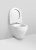 Унитаз подвесной Am.Pm Spirit FlashClean