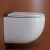 Подвесной унитаз Ceramicanova UP CN4007