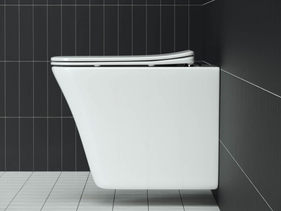 Подвесной унитаз Ceramicanova Mono Rimless CN1902