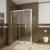 Душевой уголок Radaway Premium Plus DWJ+S 110x75 прозрачное стекло