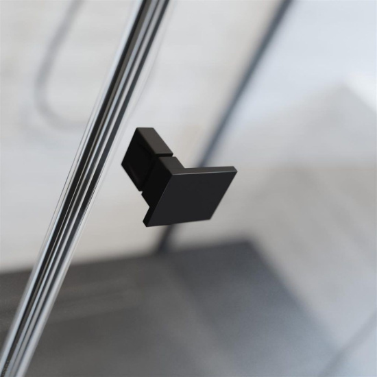 Душевой уголок Radaway Essenza New Black PDD 100х100
