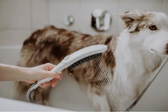Душевая лейка Hansgrohe DogShower 26640700 для собак