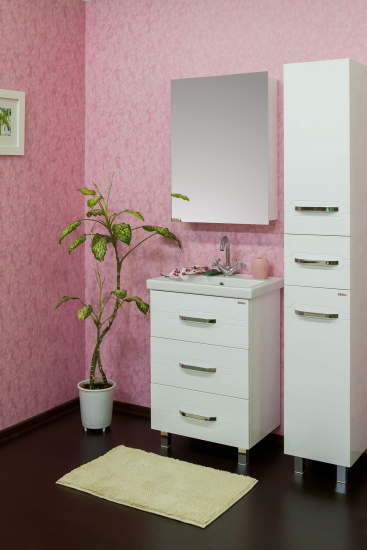 Зеркало-шкаф Sanflor Анкона R, 60