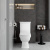 Унитаз-компакт VitrA Serenada 9722B003-7205 с микролифтом и функцией биде Унитаз-компакт VitrA Serenada 9722B003-7205 с микролифтом и функцией биде