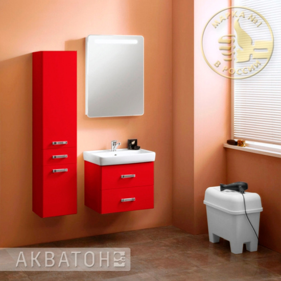 Зеркало-шкаф Aquaton Америна 60 L