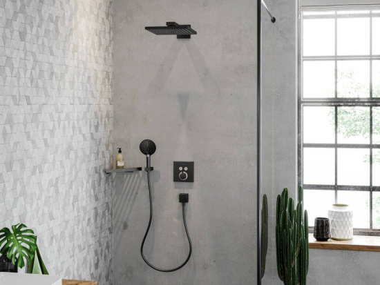 Душевая лейка Hansgrohe Raindance Select S 26530670