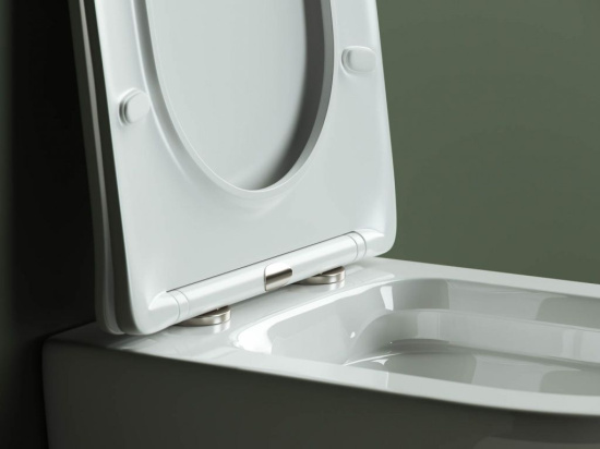 Подвесной унитаз Ceramicanova Highlight Rimless CN1804