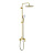 Душевая стойка Raglo R10.24.03 15 сатин золотой