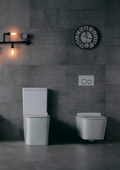 Чаша для унитаза-компакта Aquanet Tavr-C1