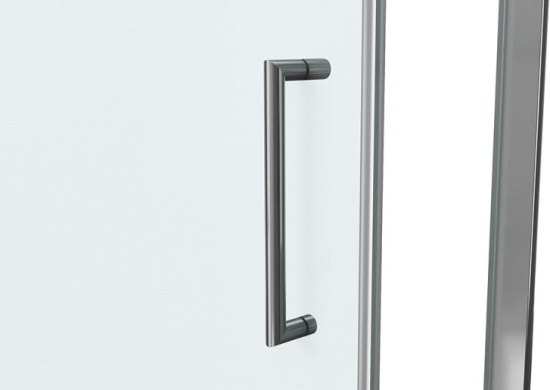 Душевая дверь в нишу Bravat Line BD100.4112A 100х200, распашная