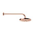 Верхний душ Webert AC0013980METAL, розовое золото