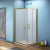 Душевой уголок Good Door Jazze CR-100-G-BR 100x100