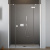 Душевая дверь в нишу Radaway Essenza New DWJS 140 R