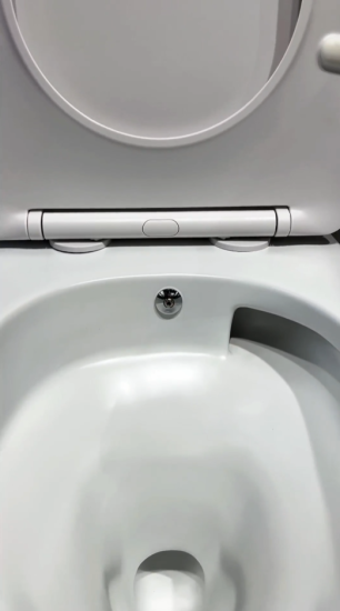 Унитаз подвесной Boheme Avva 973-SET-2-W с функцией биде и сидением микролифт