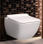 Унитаз подвесной Villeroy & Boch Venticello 4611RS01 безободковый Унитаз подвесной Villeroy & Boch Venticello 4611RS01 безободковый
