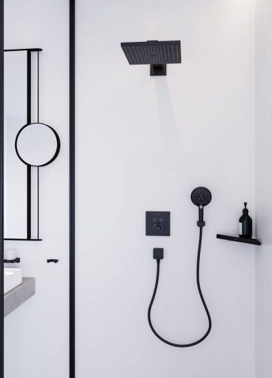 Душевая лейка Hansgrohe Raindance Select S 26530670