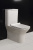 Унитаз-компакт BelBagno Romano BB248CPR-P