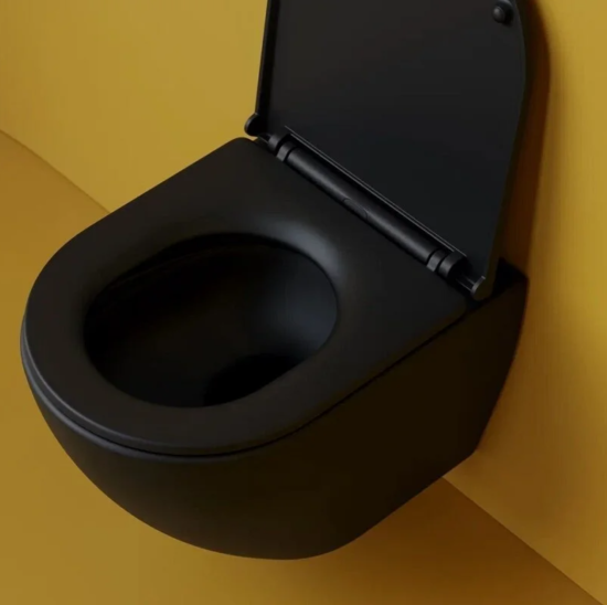 Подвесной унитаз Ceramicanova Metropol CN4002TMB