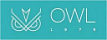 Owl 1975