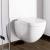 Унитаз подвесной Villeroy & Boch Subway Plus 6600 10R1 alpin Унитаз подвесной Villeroy & Boch Subway Plus 6600 10R1 alpin