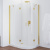 Душевой уголок Vegas Glass AFS-F 120*100 09 01 L профиль золото, стекло прозрачное