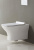 Унитаз подвесной BelBagno Romano BB248CHR безободковый