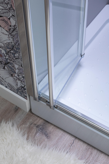 Душевая дверь в нишу Aquanet Alfa 210018