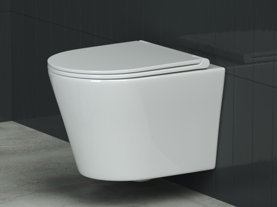 Подвесной унитаз Ceramicanova Forma Rimless CN3011