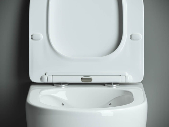Подвесной унитаз Ceramicanova Mono Rimless CN1905