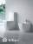 Бачок для унитаза BelBagno Alpina BB10100T