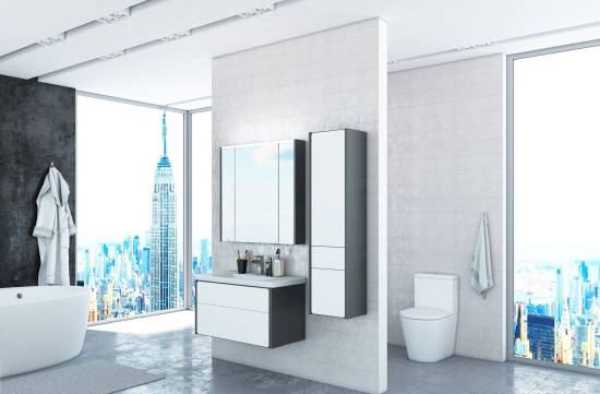 Пенал Roca Ronda белый глянец, антрацит, R