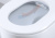 Инсталляция Grohe Sensia Arena 124846 подвесной унитаз с биде + кнопка