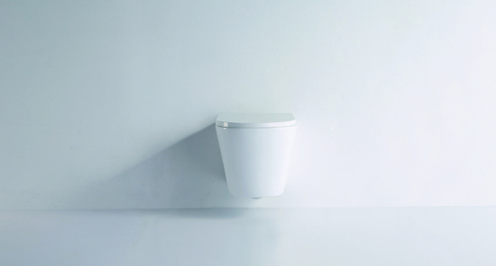 Подвесной унитаз WeltWasser Salzbach 043 GL-WT