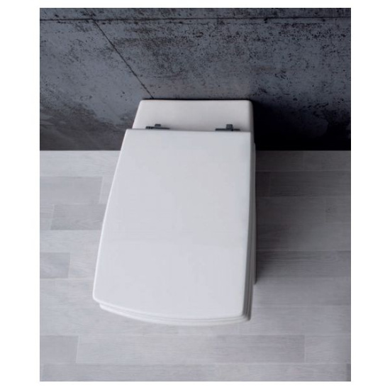 Унитаз приставной Ceramica ala Crazy 25VS/P с сидением микролифт