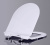 Крышка-сиденье BelBagno Piano BB2111SC с микролифтом