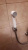 Гигиенический душ Grohe Tempesta-F 26355IL0 100см, белый